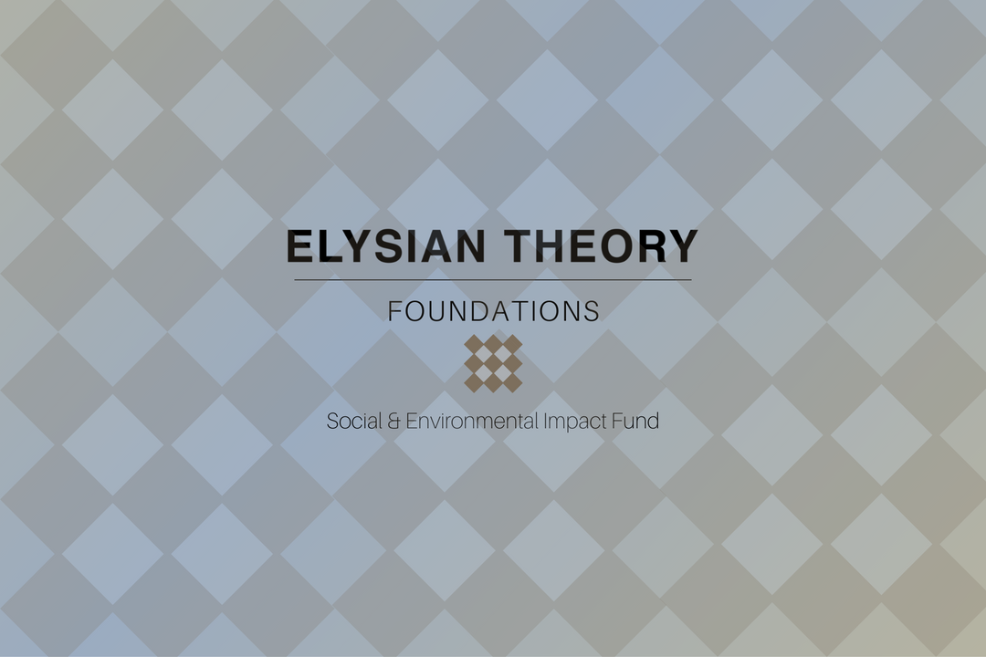 Foundations - A Social and Environmental Impact Fund by Elysian Theory